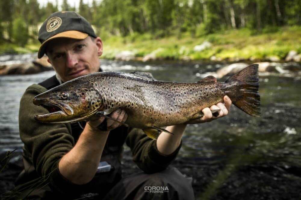 wędkarstwo skandynawia